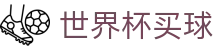 2026国际足联世界杯买球_双端同步下载和全能APP
